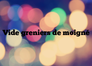 Vide greniers de moigné